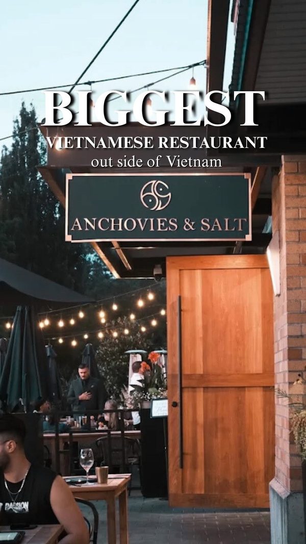 Anchovies cinematic reel