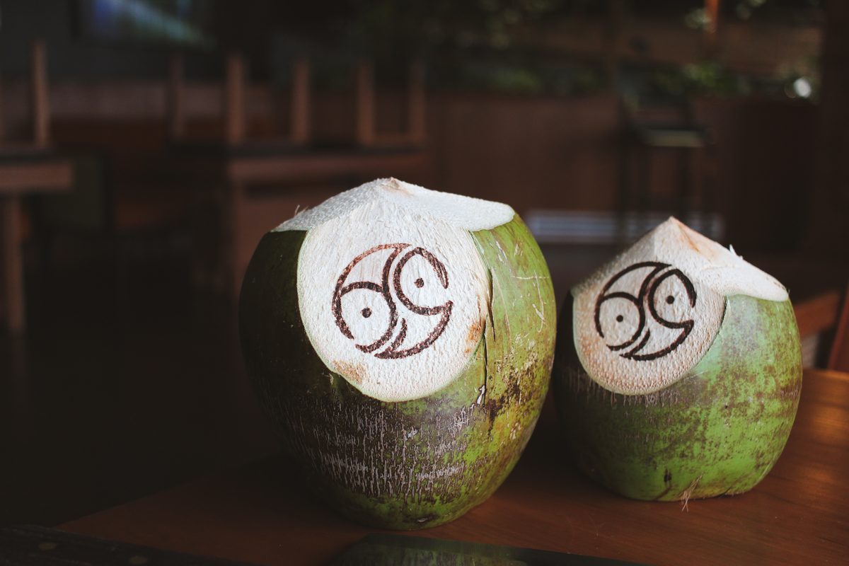 Anchovies & Salt - Branded Coconuts